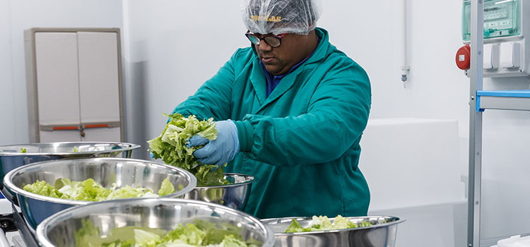 Naia verduras ecologicas