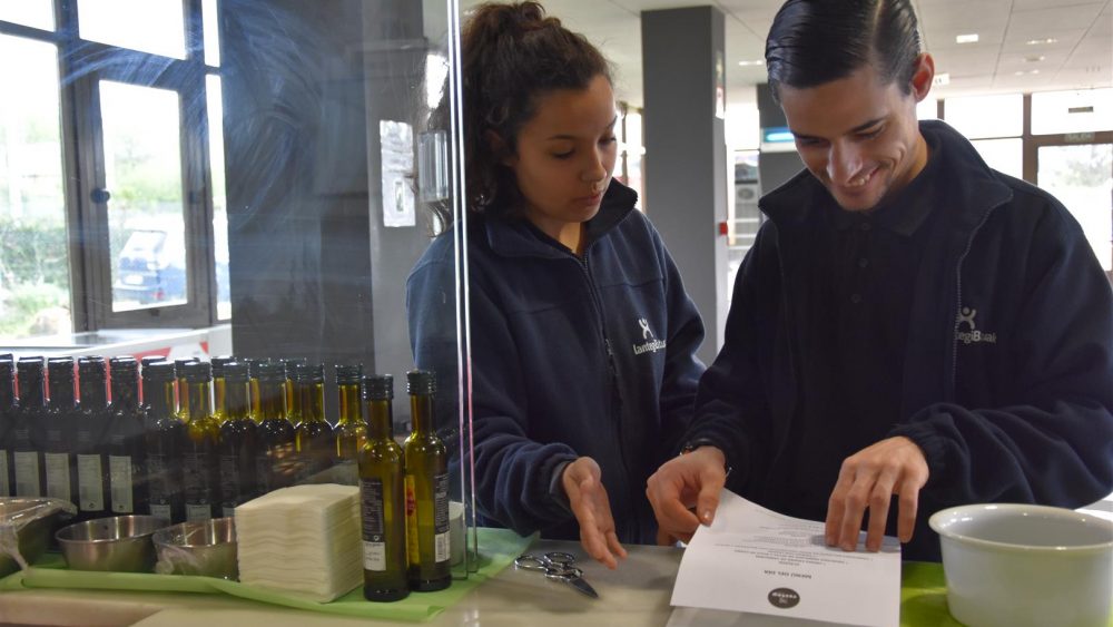 Servicio Ocupacional Bizkaia